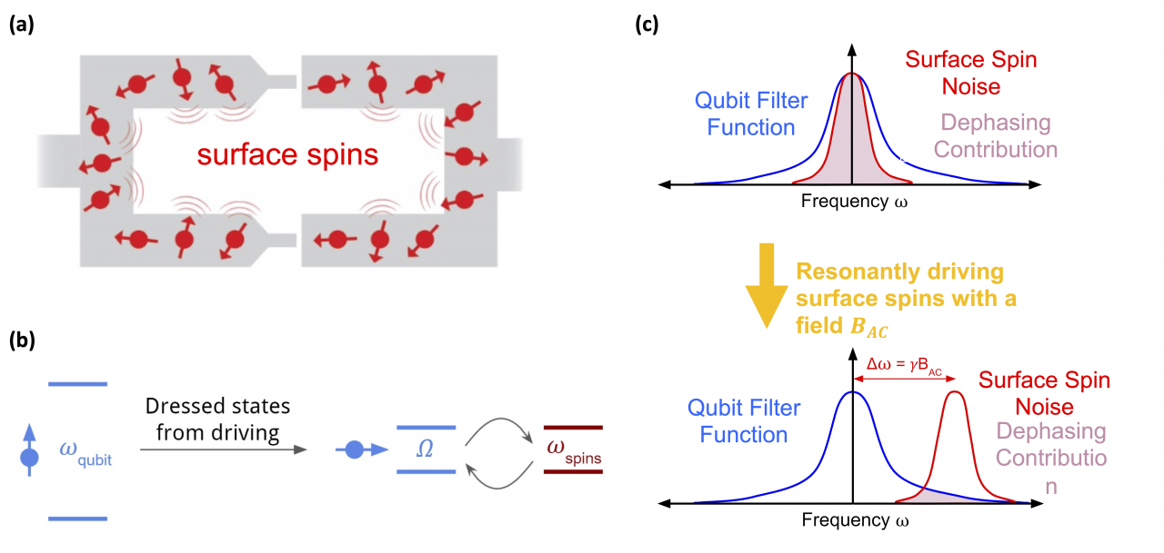Lamia Ateshian Quarc